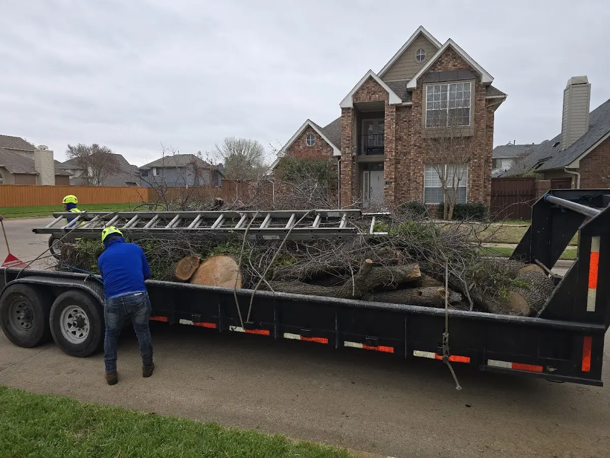 Expert Tree Fertilization with proper safety equipment in Dividing Creek